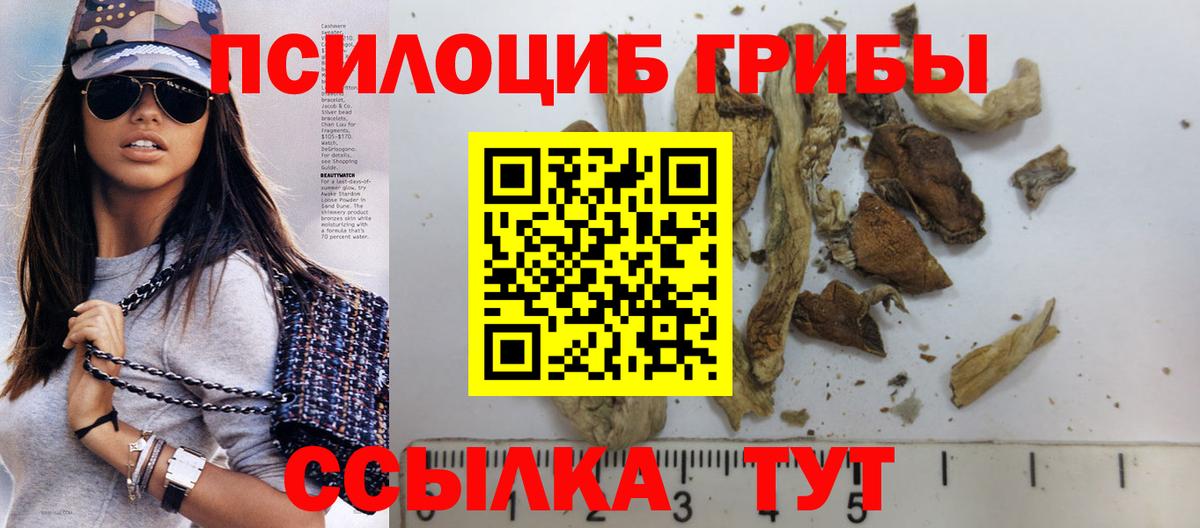 Дзержинск  Галлюциногенные грибы MAGIC MUSHROOMS  Галлюциногенные грибы Cubensis  Вход с VPN 