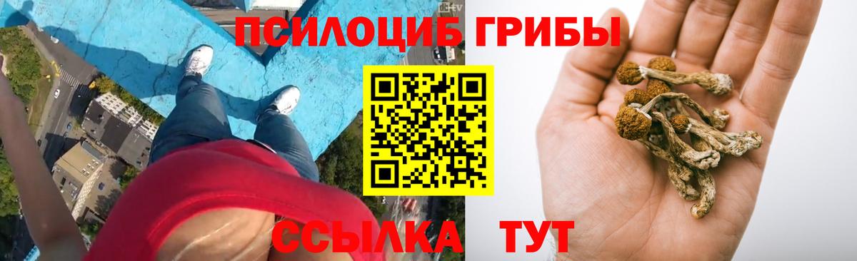 Псилоцибиновые грибы мухоморы Дзержинск